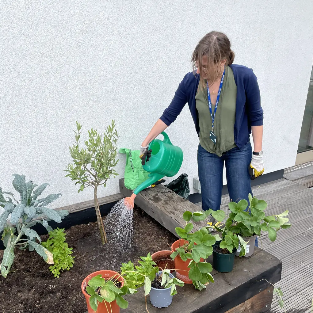 watering can