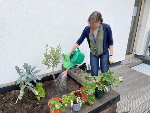 watering can